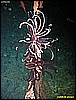 IMG_2546.JPG