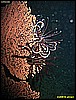 IMG_2548.JPG