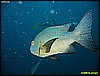 IMG_2551.JPG