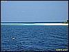 IMG_2556.JPG