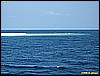 IMG_2562.JPG