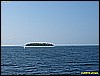 IMG_2564.JPG
