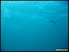 IMG_2569.JPG