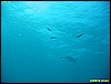 IMG_2570.JPG