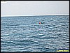 IMG_2577.JPG