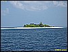 IMG_2580.JPG