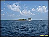 IMG_2581.JPG