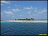 IMG_2590.JPG