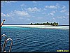 IMG_2592.JPG