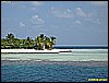 IMG_2593.JPG