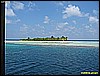 IMG_2594.JPG
