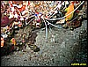 IMG_2608.JPG