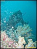 IMG_2616.JPG