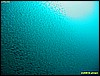 IMG_2629.JPG