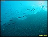 IMG_2634.JPG