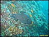 IMG_2644.JPG