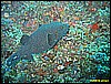IMG_2646.JPG
