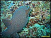 IMG_2647.JPG
