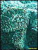 IMG_2653.JPG