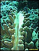 IMG_2654.JPG