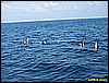 IMG_2659.JPG