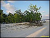 IMG_2665.JPG
