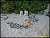IMG_2666.JPG