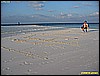IMG_2667.JPG