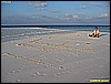 IMG_2669.JPG