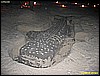 IMG_2683.JPG
