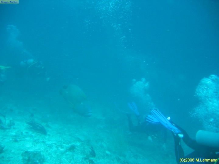 IMG_2765.JPG