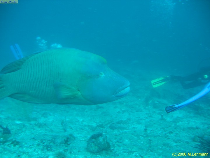 IMG_2766.JPG