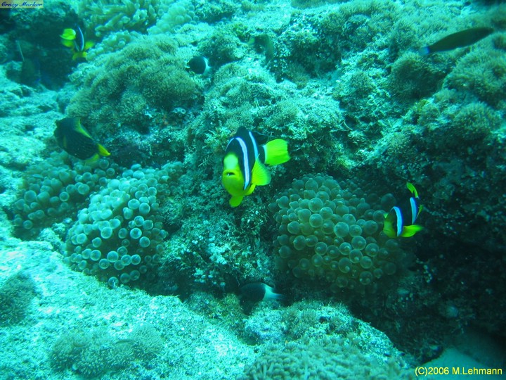 IMG_2790.JPG