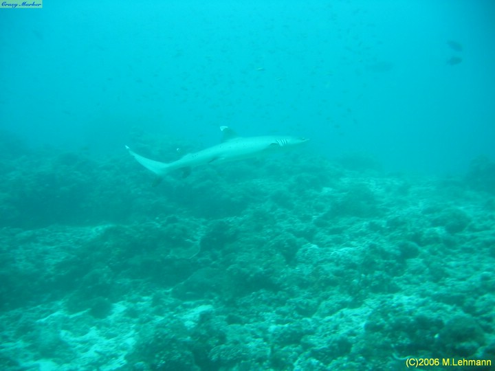 IMG_2837.JPG