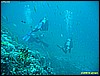 IMG_2711.JPG