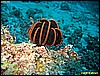 IMG_2718.JPG