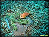 IMG_2720.JPG