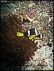 IMG_2729.JPG