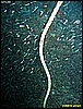 IMG_2741.JPG