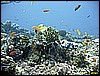 IMG_2744.JPG