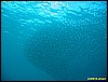 IMG_2745.JPG