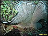 IMG_2748.JPG
