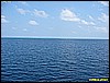 IMG_2753.JPG