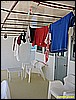 IMG_2756.JPG