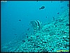 IMG_2763.JPG