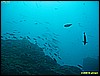 IMG_2764.JPG