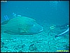 IMG_2766.JPG