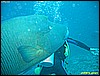 IMG_2767.JPG