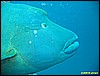 IMG_2768.JPG