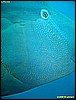 IMG_2769.JPG